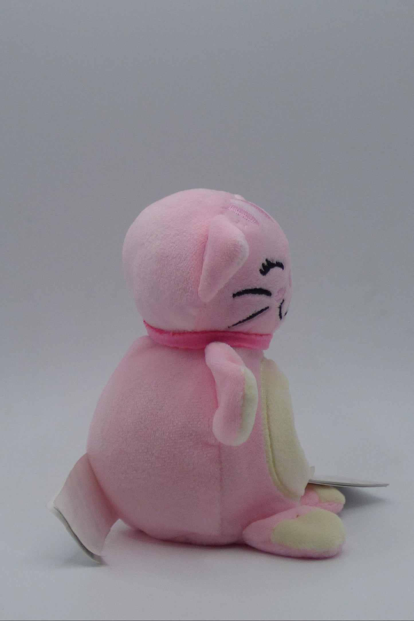 Jellyroos Katze Candice